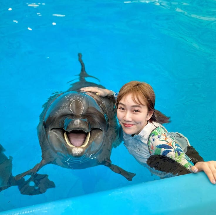 Samut Prakan Crocodile Farm & Zoo Dolphin Show